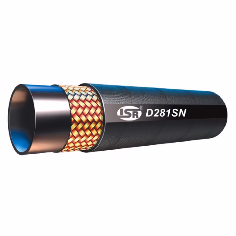D281SN