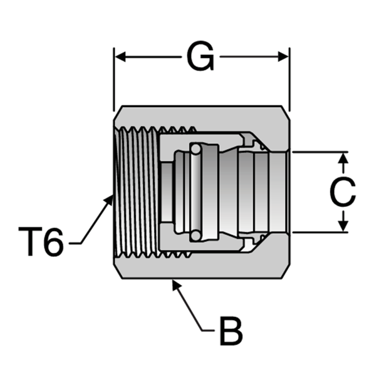 TLFA